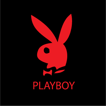  THE PLAY BOY